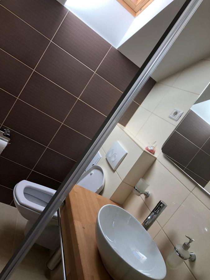 Pensiunea Piscul Cainelui Sinaia Ngoại thất bức ảnh